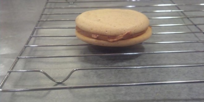 sandwich cookie