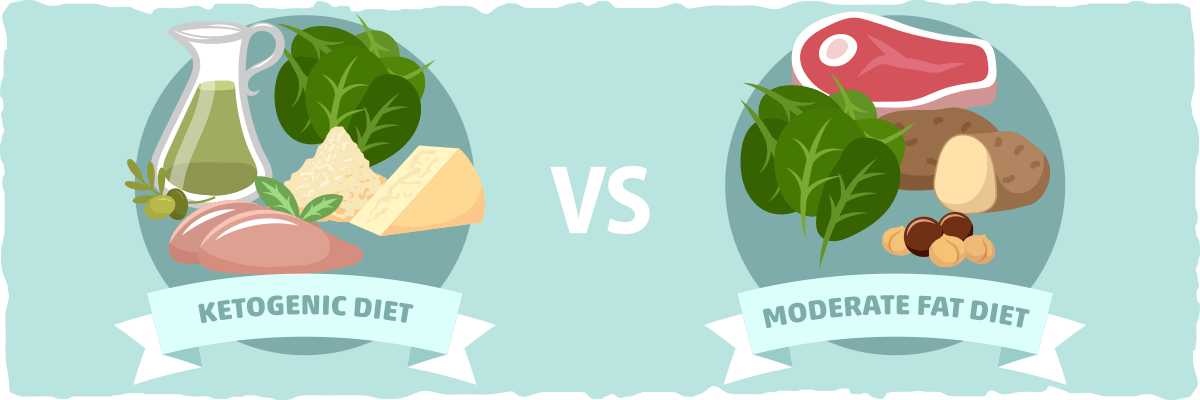 Side by Side Comparison: Ketogenic vs. Moderate Fat Diet