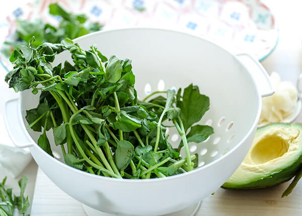 Spinach & Watercress Keto Salad