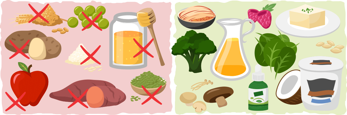 How to limit your carb intake on a vegan ketogenic diet.