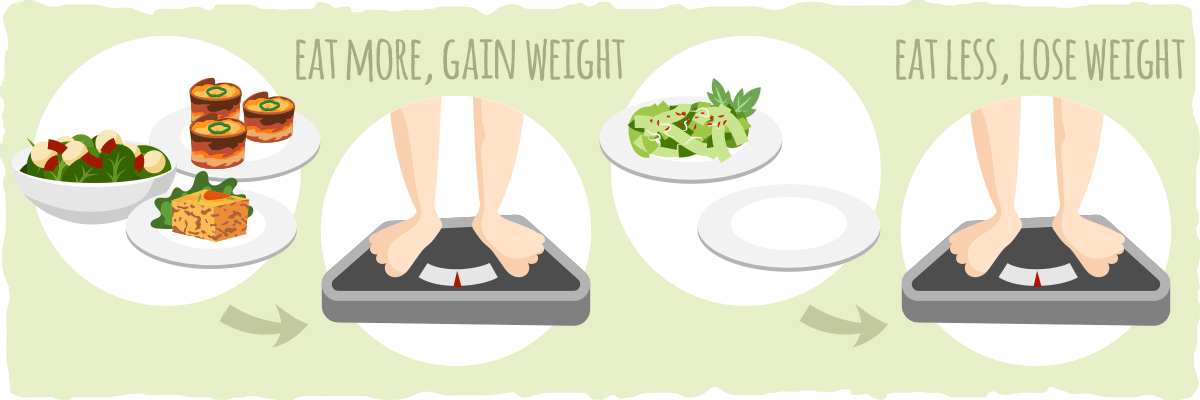 The Best Diet For Weight Loss