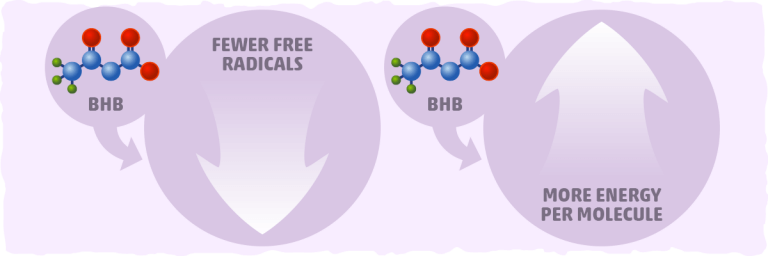 Keto BHB: The Complete Guide To Beta-Hydroxybutyrate