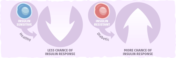 Is Too Much Protein Bad for Ketosis? [The Truth]