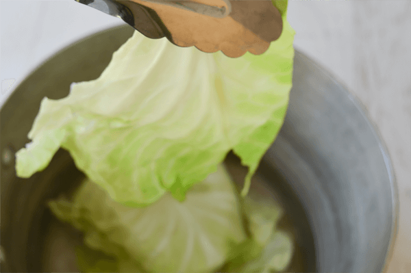 Steamed Pork Cabbage Rolls