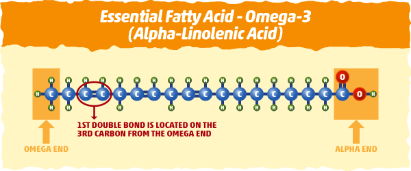 The Truth About Polyunsaturated Fat: Is It Really Healthy?