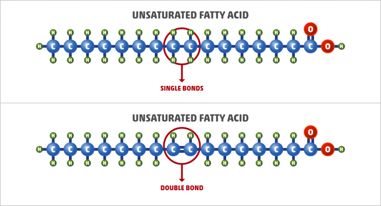 Unsaturated Fat: What it is & Examples [Comprehensive Guide]