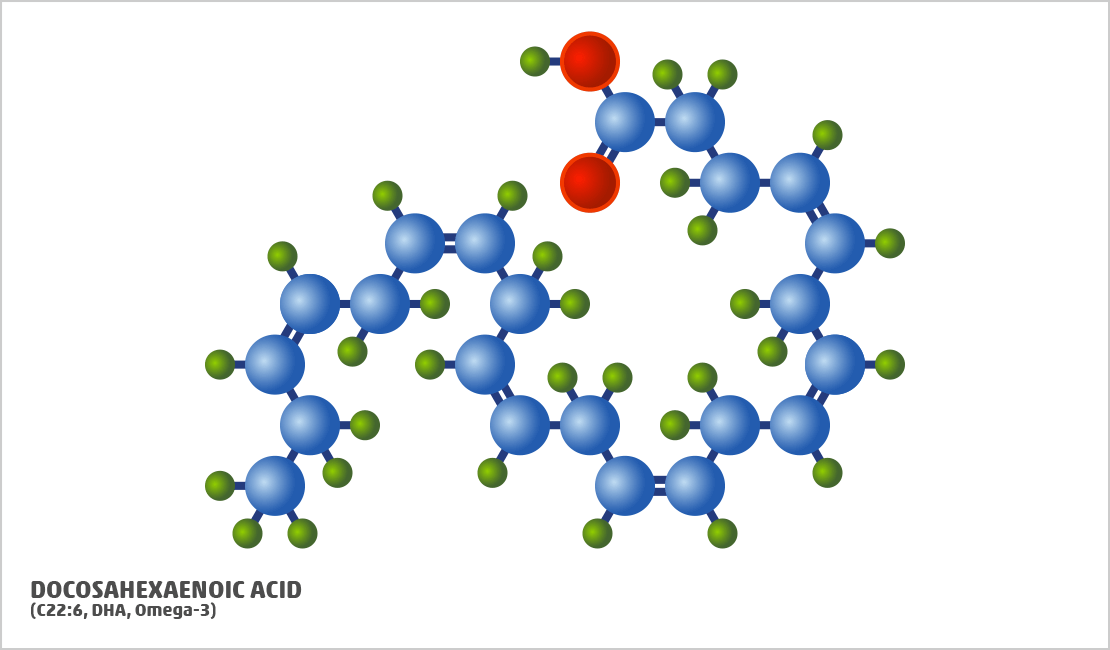 docosahexaenoic acid (DHA)