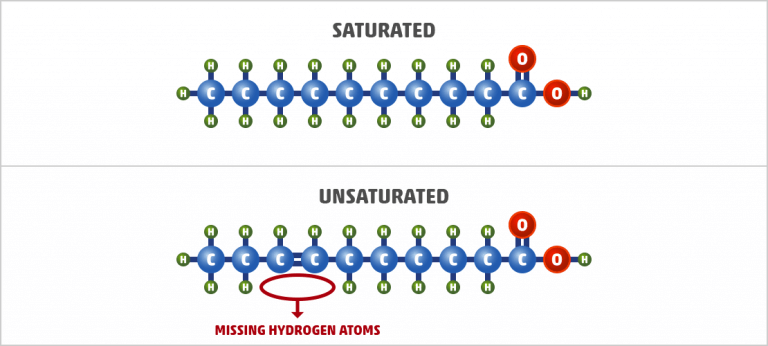 the-truth-about-saturated-fat-definitive-guide-examples