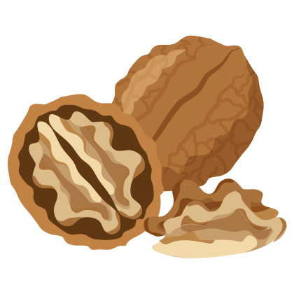 Carbs in Walnuts